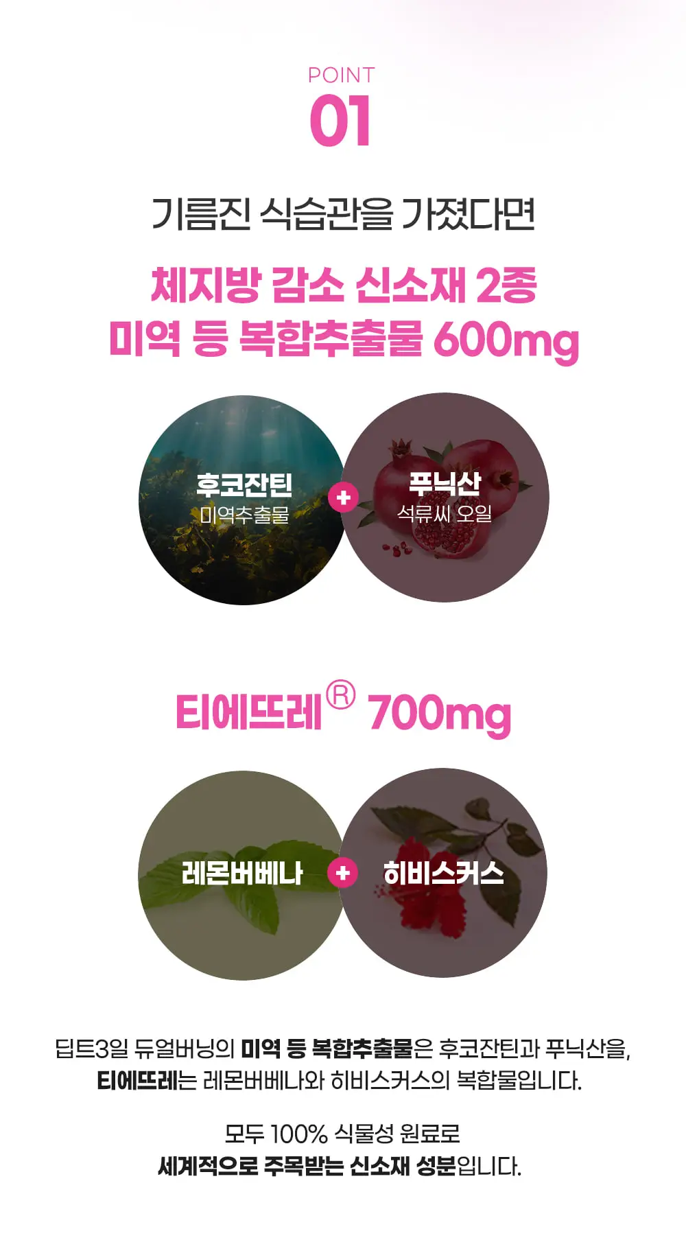 [권은비Pick] 딥트3일 2중케어 듀얼 버닝 (7포) 상세페이지 12